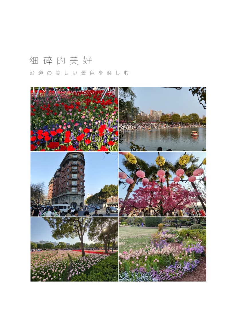 2025总结 (4)